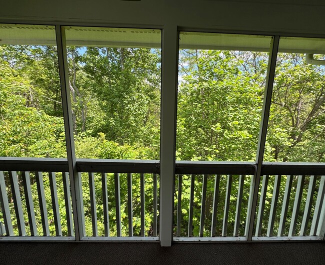 Building Photo - West AVL - Beautifully Updated Townhouse
