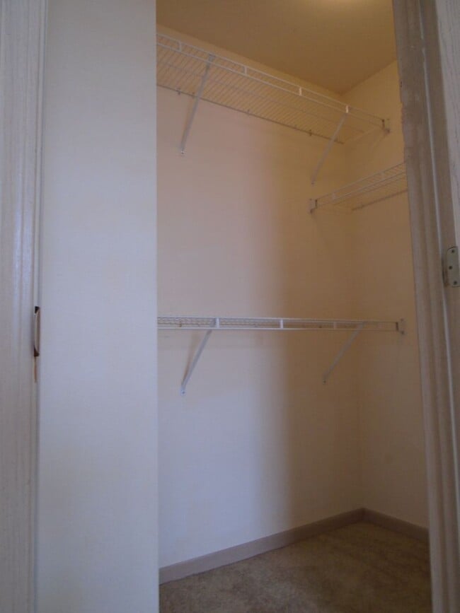 Building Photo - Spacious Apartment