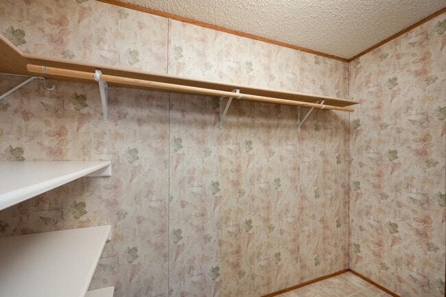 Building Photo - 415 Tracy Ann Dr