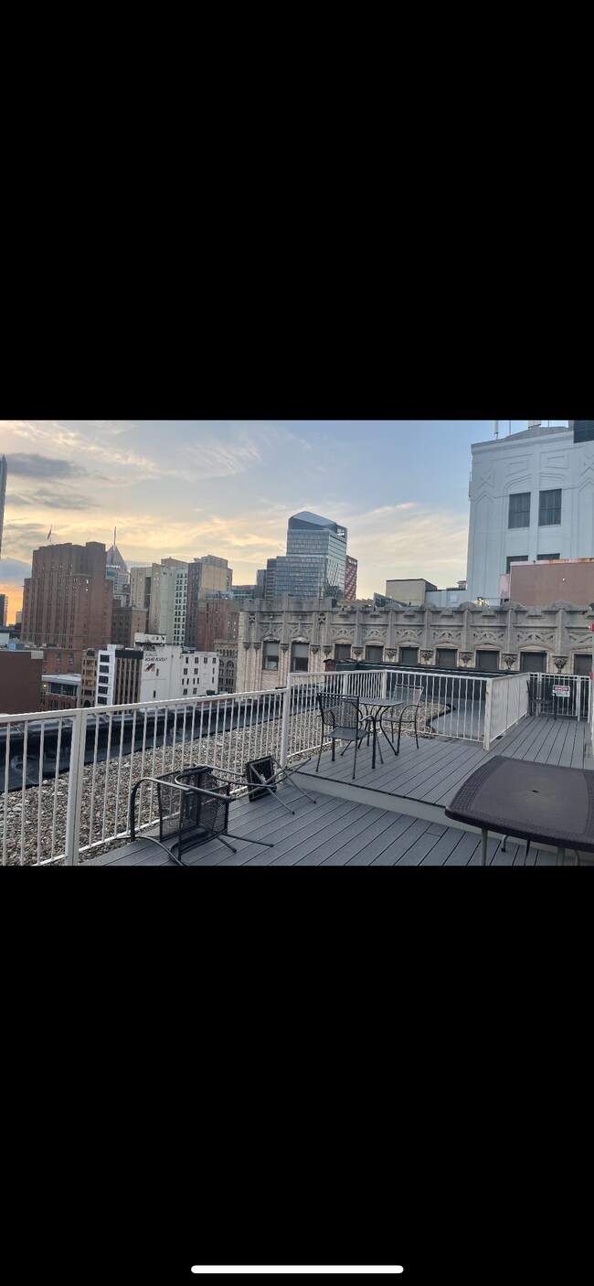 shared rooftop deck - 436 1st Ave