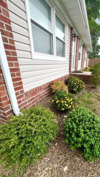 Building Photo - 908 Serf Ct
