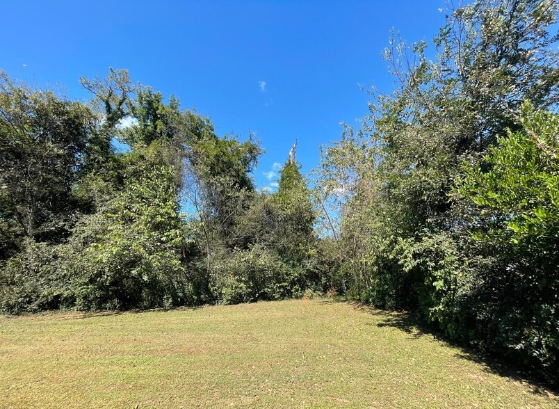 Back garden - 963 Brynwood Dr