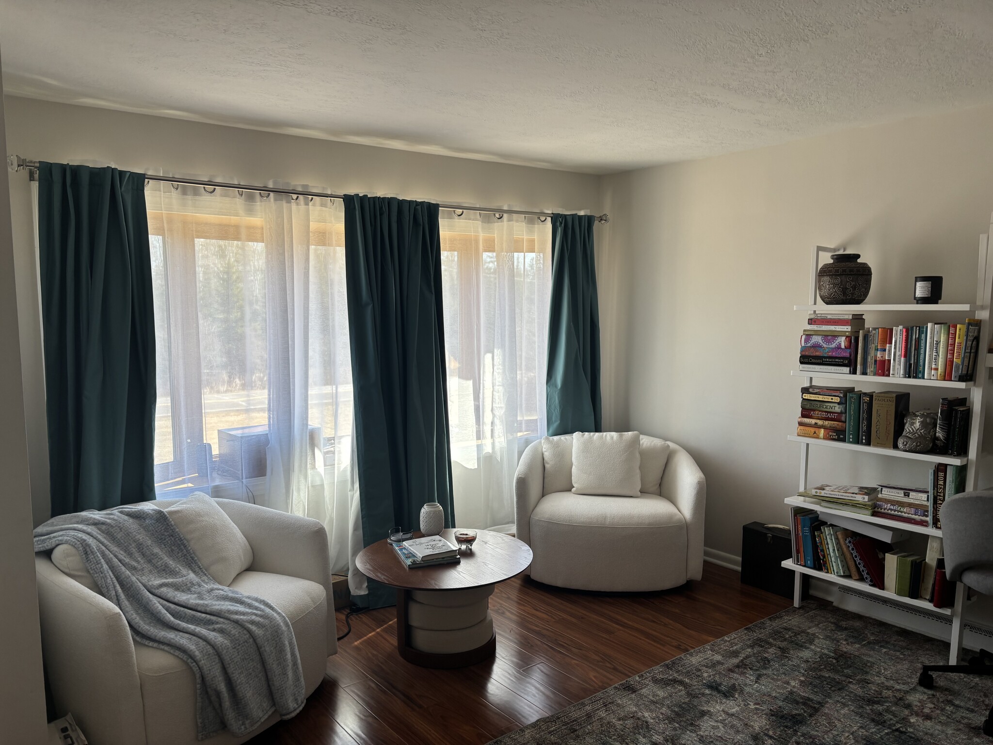 A more modern take on living room - 8231 E Superior St