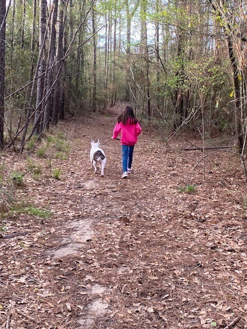 Building Photo - 4639 Sequoia Echo Dr