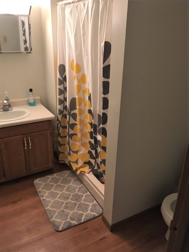 upper level bathroom - 725 S Clinton St