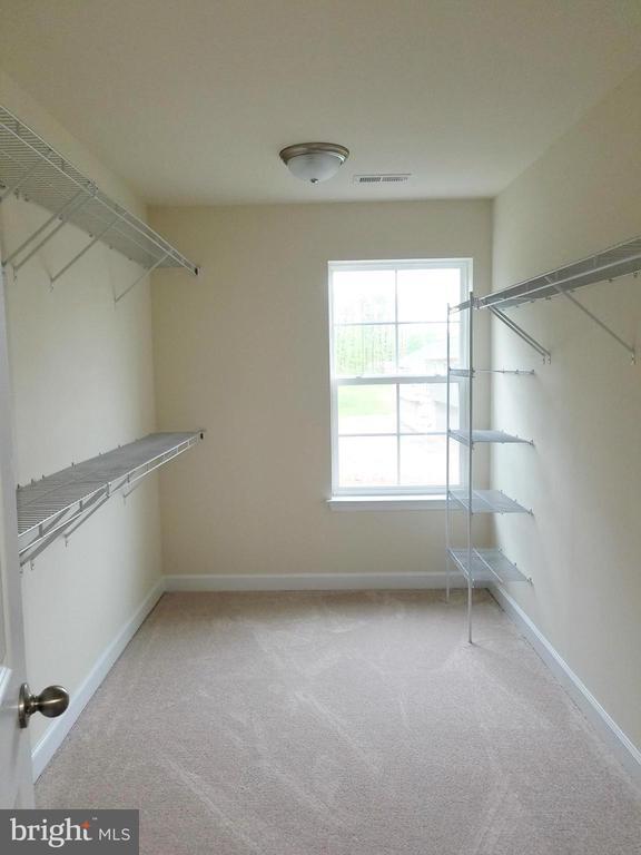 Building Photo - 10312 Bluebird Ct