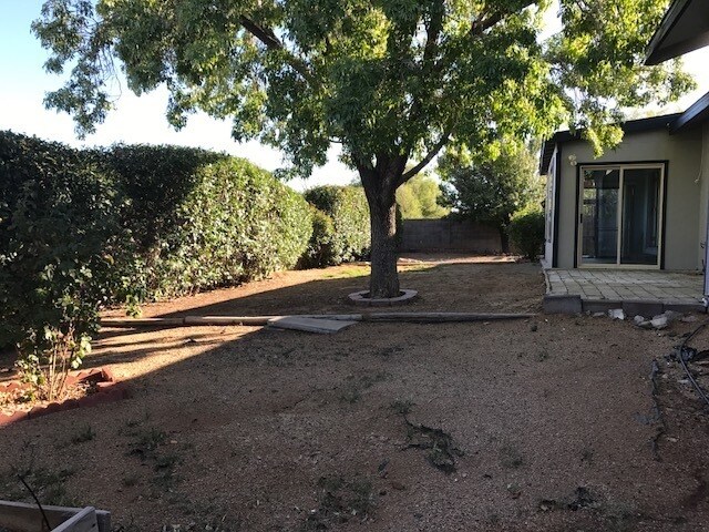 Building Photo - Four Bedroom + Office, NO HOA!