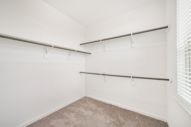 Building Photo - 547 Bristol Tide Ct