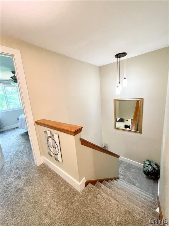 Building Photo - 8423 Bubbling Springs Dr