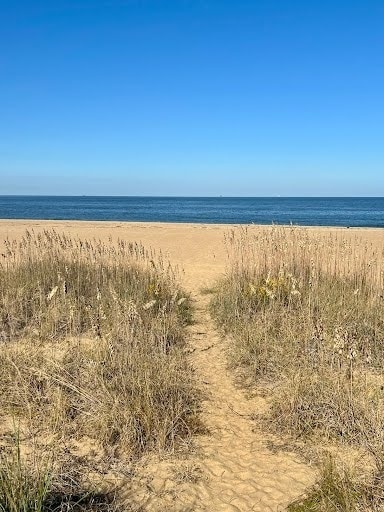 Building Photo - 736 W Ocean View Ave