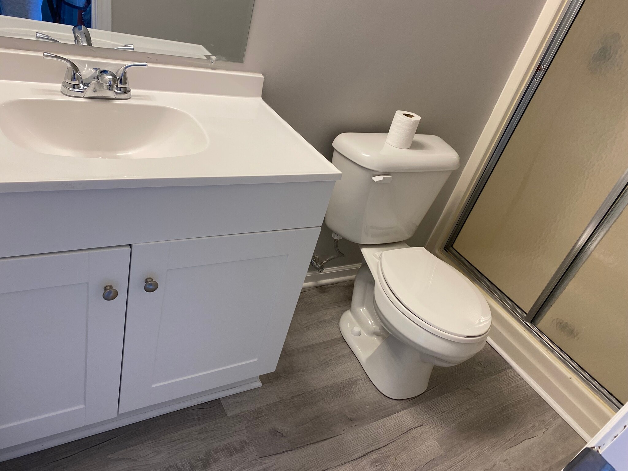 Downstairs Bathroom - 315 Lakeland Dr