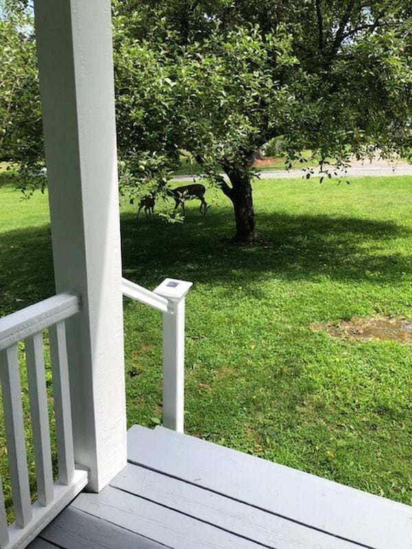 Building Photo - 38 Berkley, B