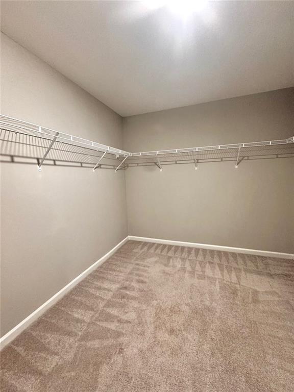 Building Photo - 2209 Wood Thrush Wy