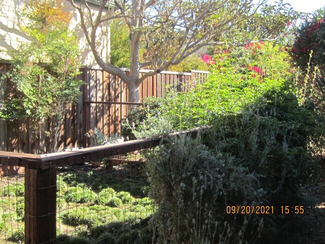 Building Photo - 408 Flora Vista Ave