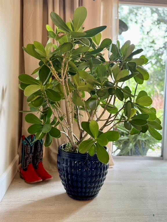 Building Photo - 1815 Barker Dr