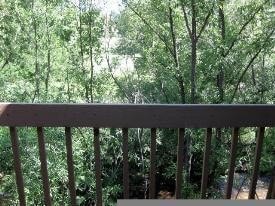 Building Photo - 2BR/2BA, vaulted ceilings, pool, parking, W/D included, more! (SC308)