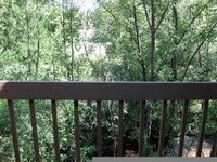 Building Photo - 2BR/2BA, vaulted ceilings, pool, parking, W/D included, more! (SC308)