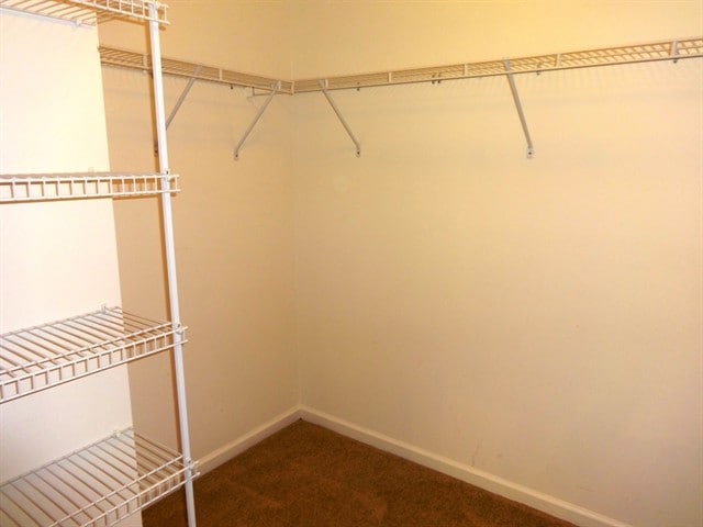 Building Photo - 1503 Dockside Ct