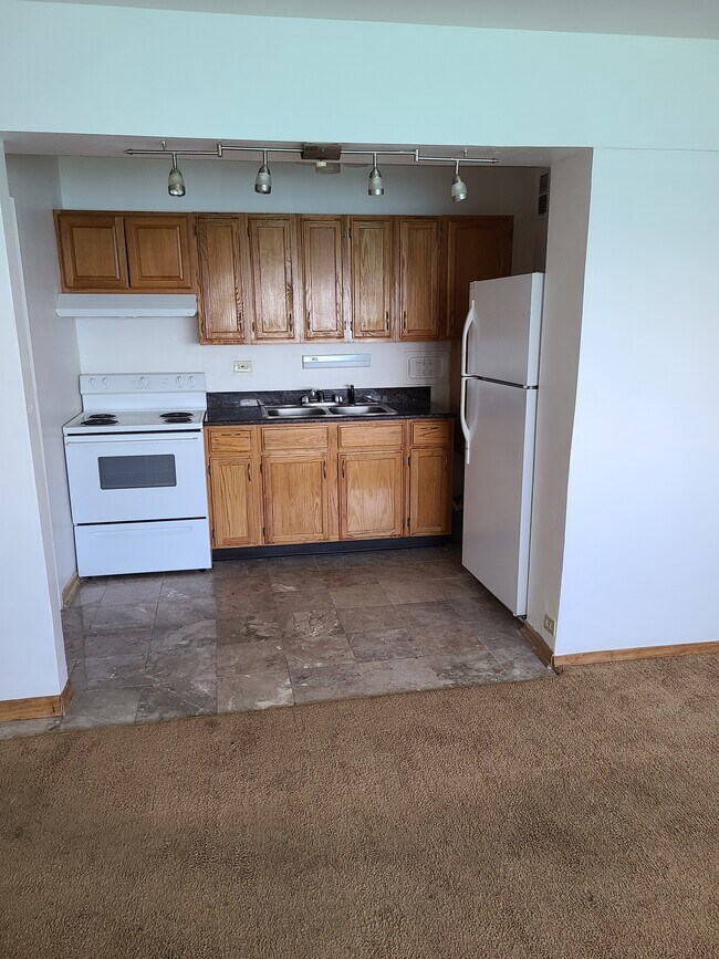 Kitchen - 7337 S South Shore Dr