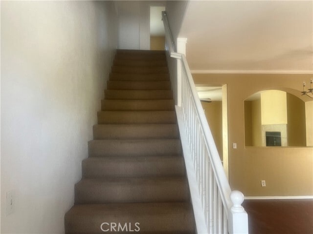 Building Photo - 11539 Emmy Ct