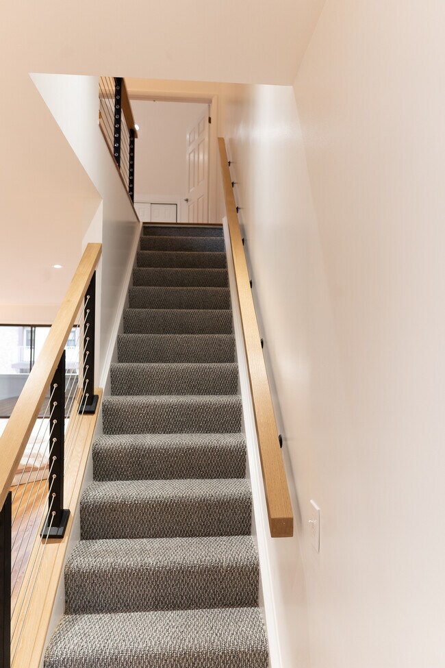 New carpeted stairs To Second Floor - 455 Hope St