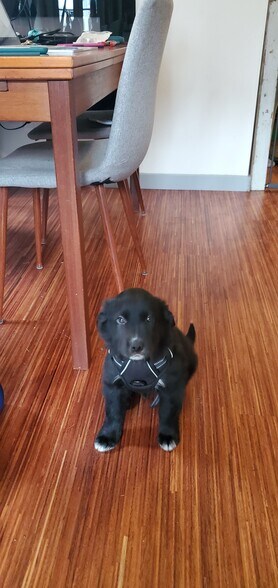 Building Photo - 12220 Densmore Ave N