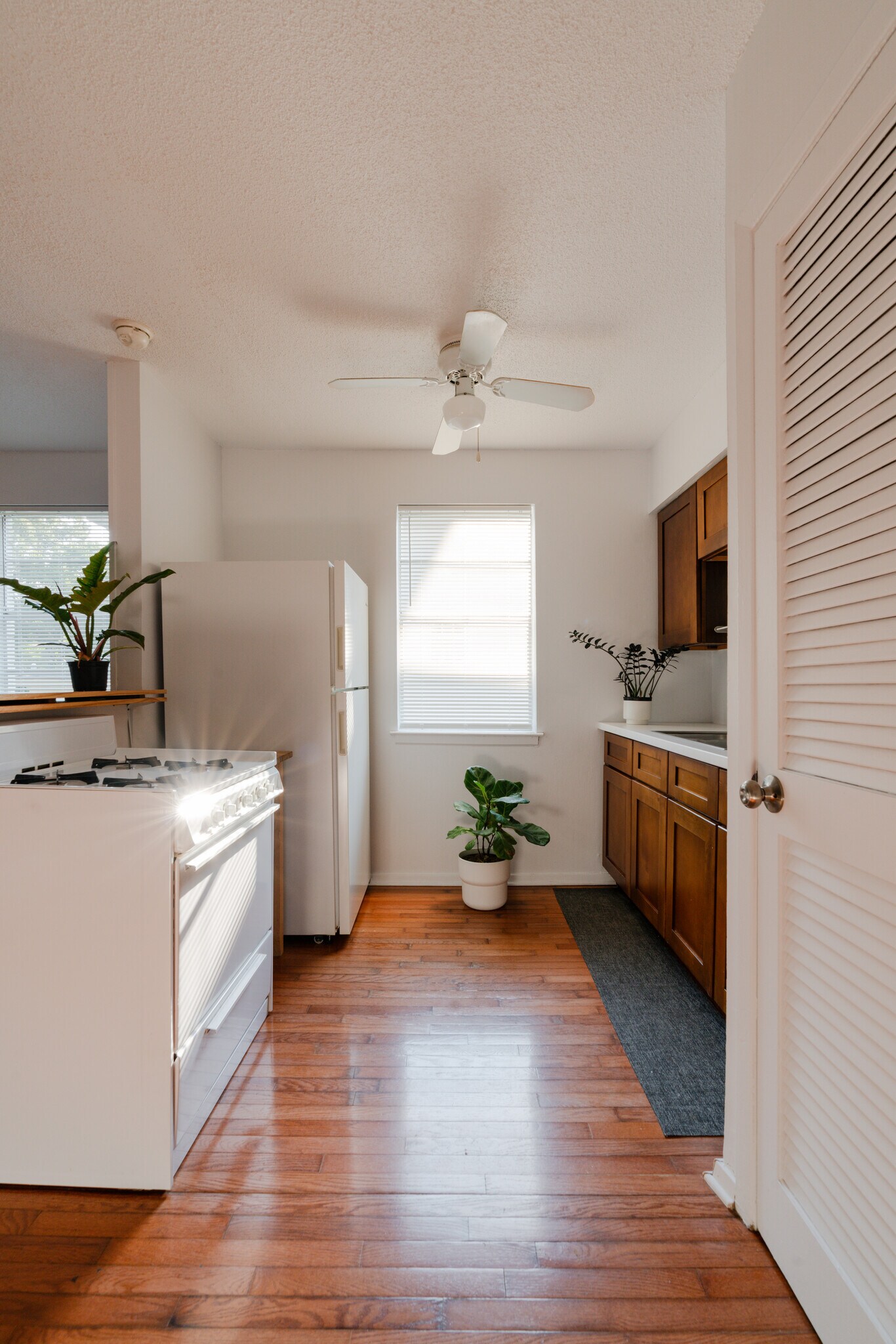 Building Photo - 1337 Vinton Ave