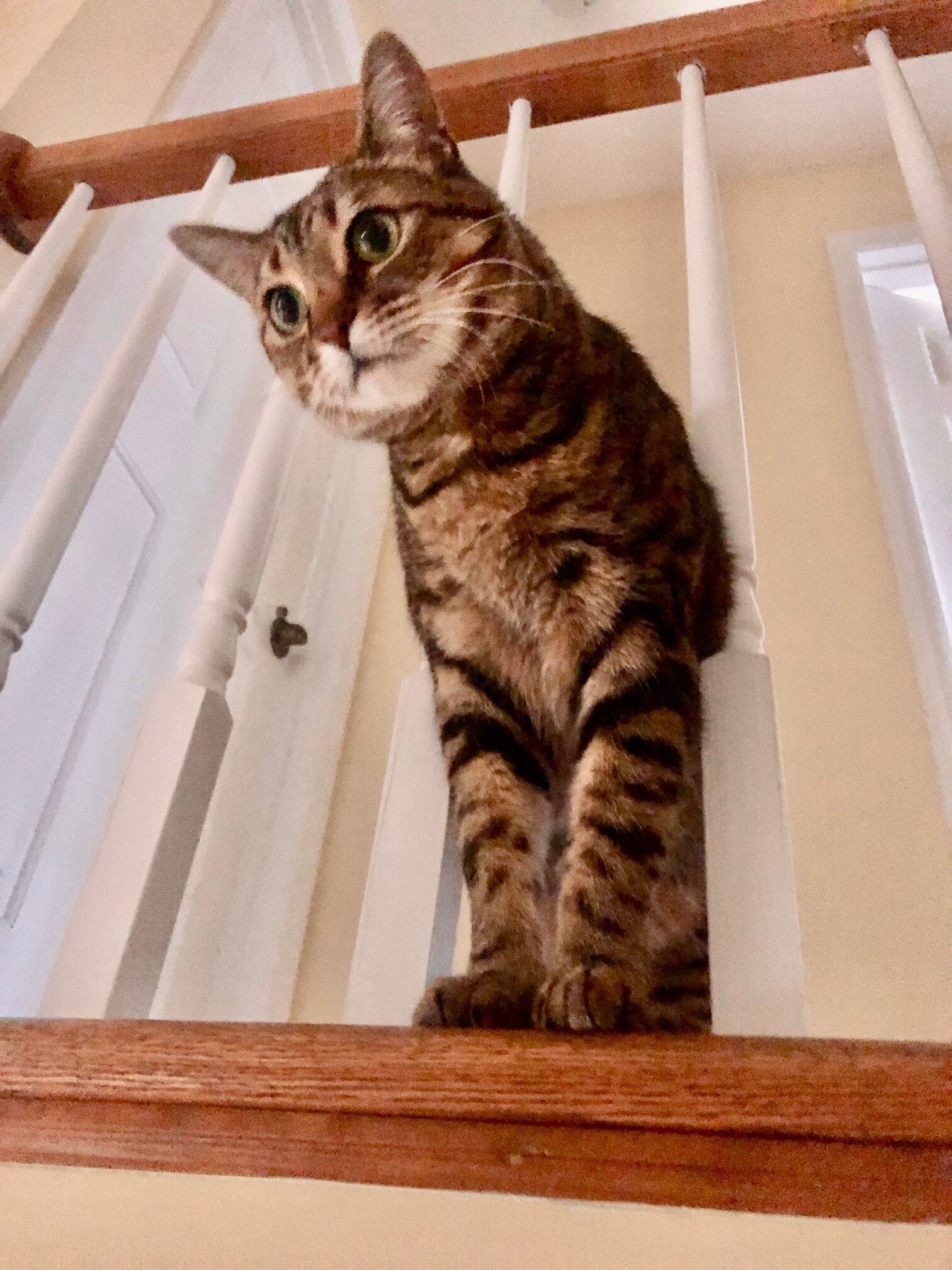 Building Photo - 4537 Kerley Rd