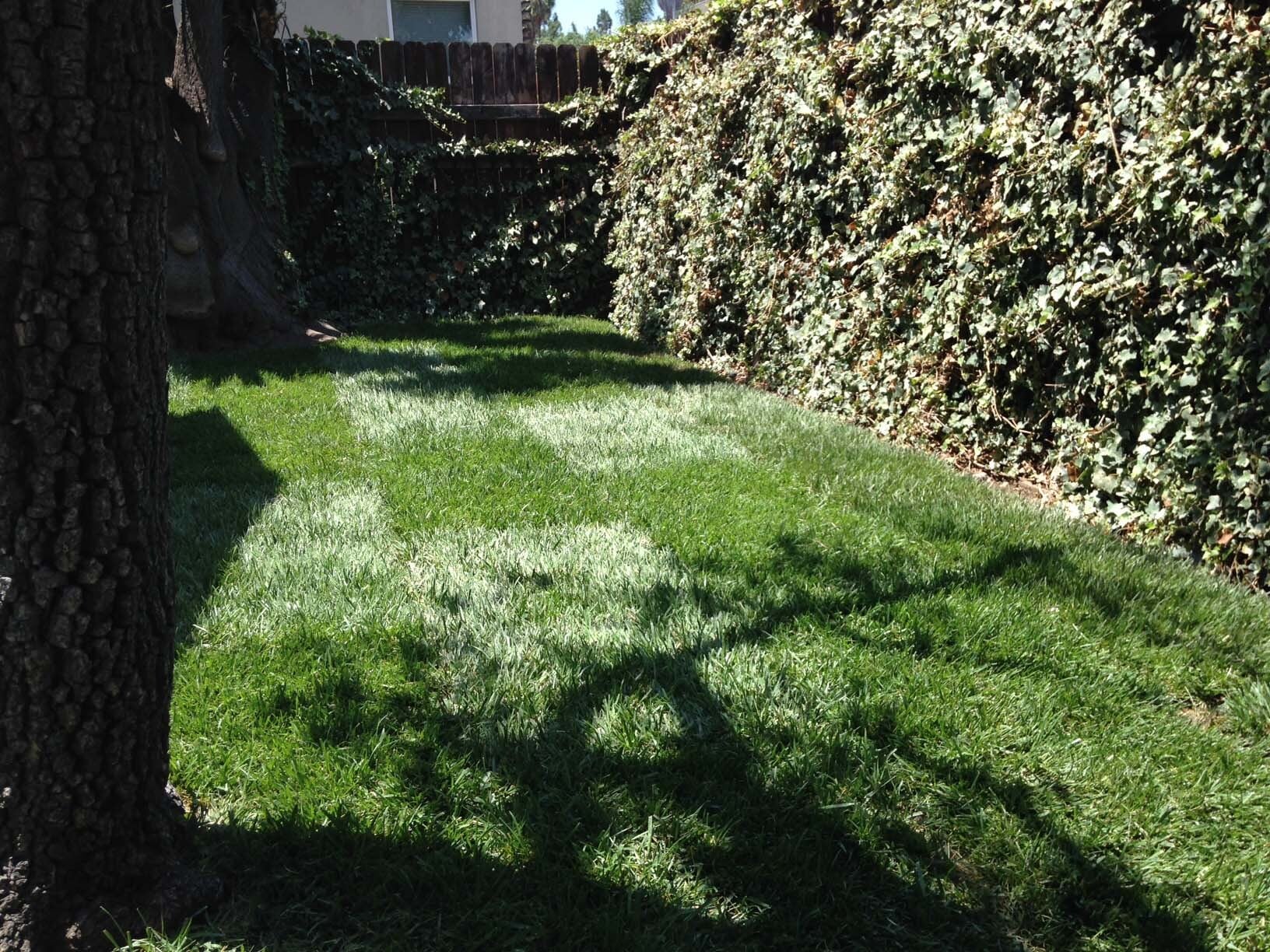 Building Photo - 6116 Fountain Ave