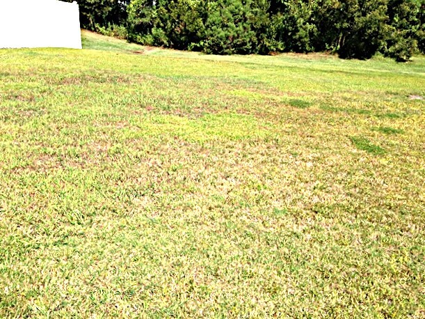 Building Photo - 4809 Wheatfield Dr