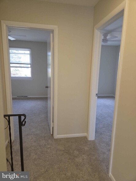 Building Photo - 159 Forsythia Ct