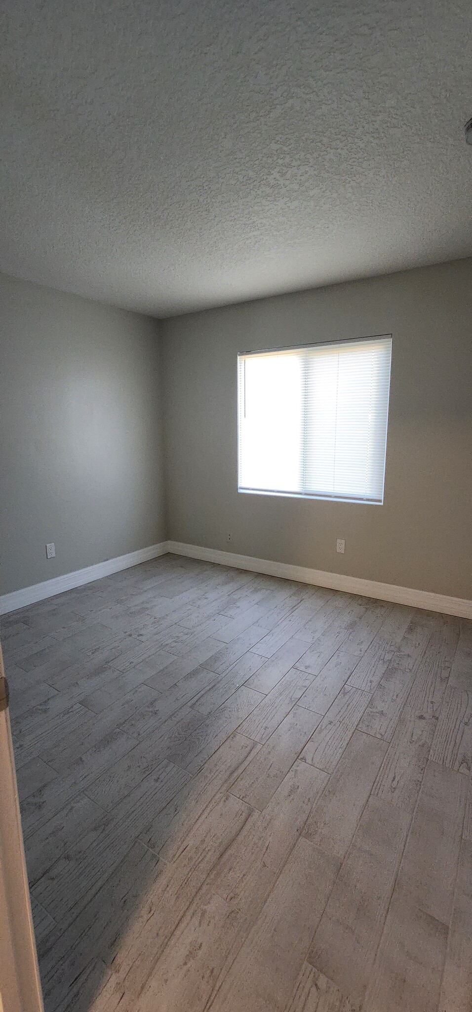 Building Photo - 369 Diamond St