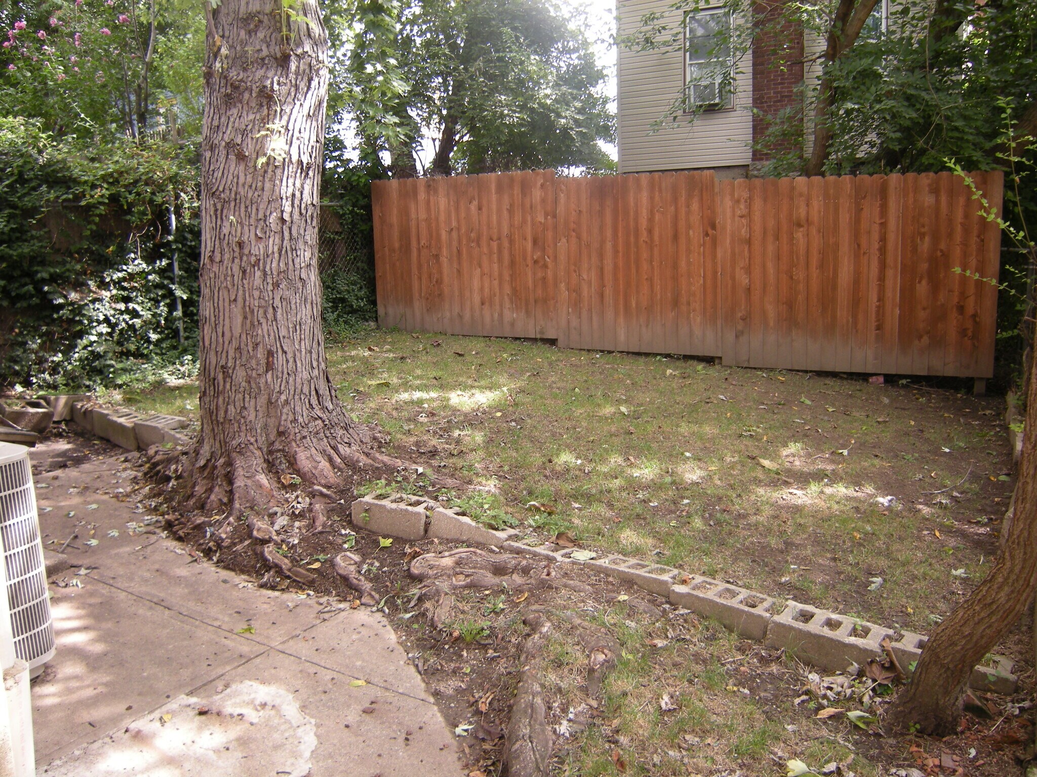 Fenced-in Rear Yard - 2360 Chickasaw St