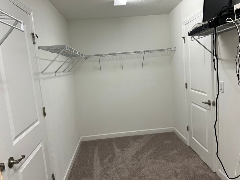 Building Photo - 923 Terra Vista St