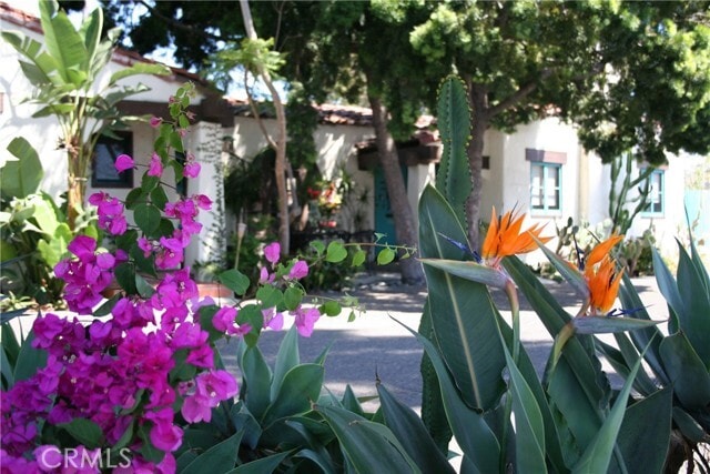 Building Photo - 243 Avenida Madrid