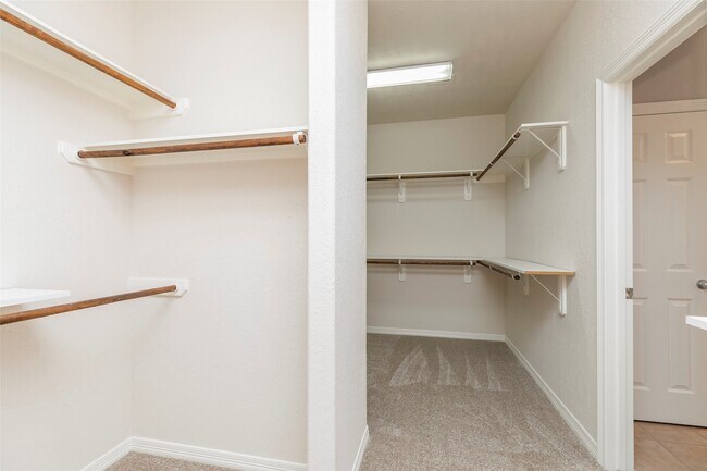 Building Photo - 10126 Holly Chase Dr