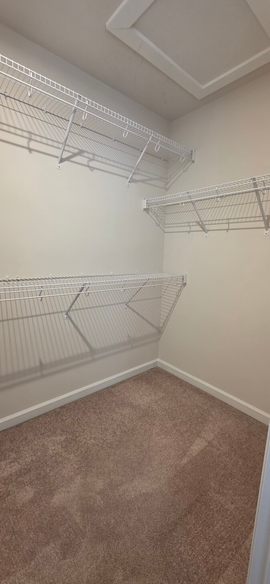 Master Bedroom - Closet - 351 Presidents Pointe Ave