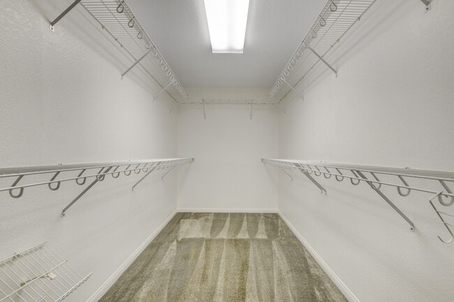 Building Photo - 6416 Shawnee Springs Ct