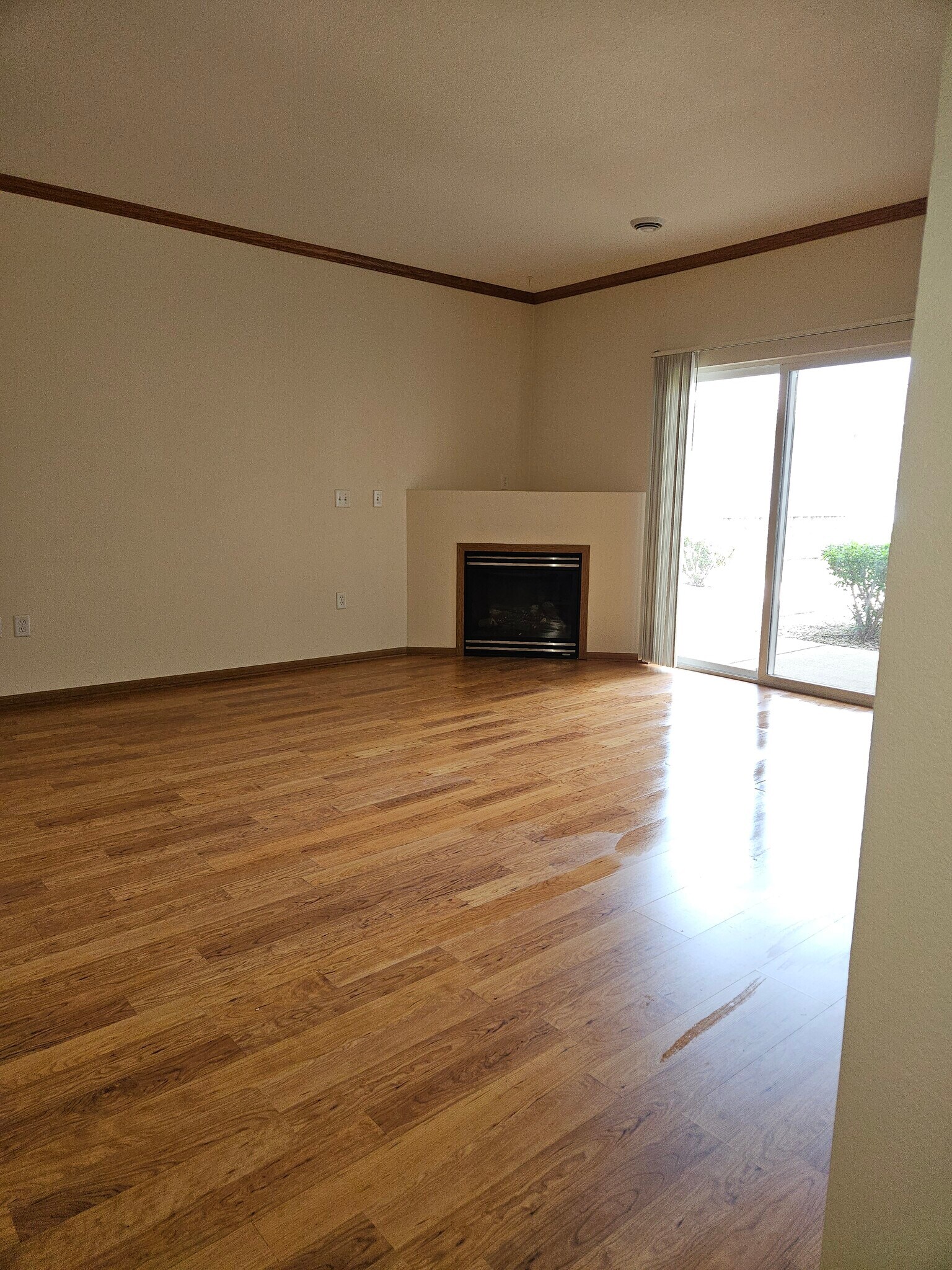 Fireplace - 1728 Birchwood St
