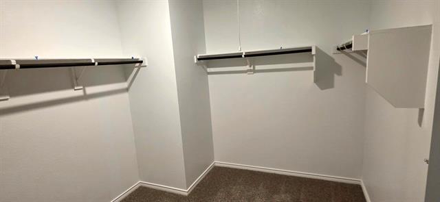 Building Photo - 4125 Sky Dr