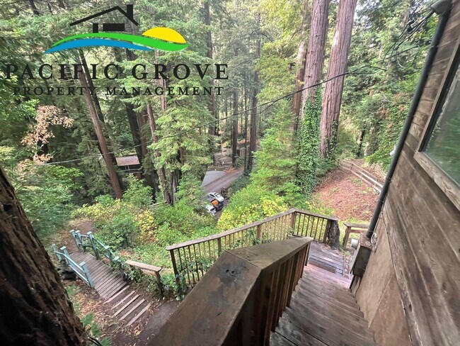 Building Photo - Cabin on Palo Colorado