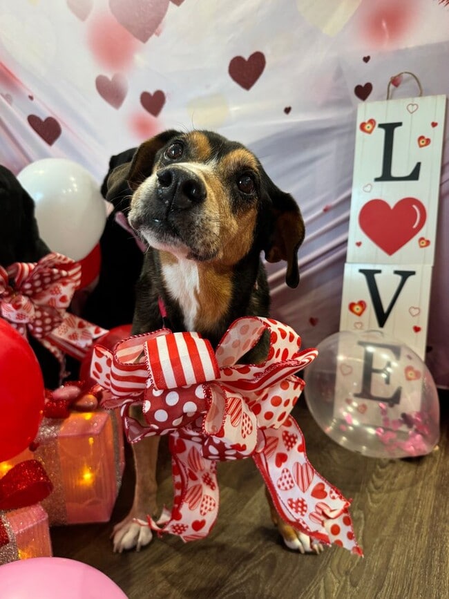 Building Photo - Check out this sweetheart of a deal!