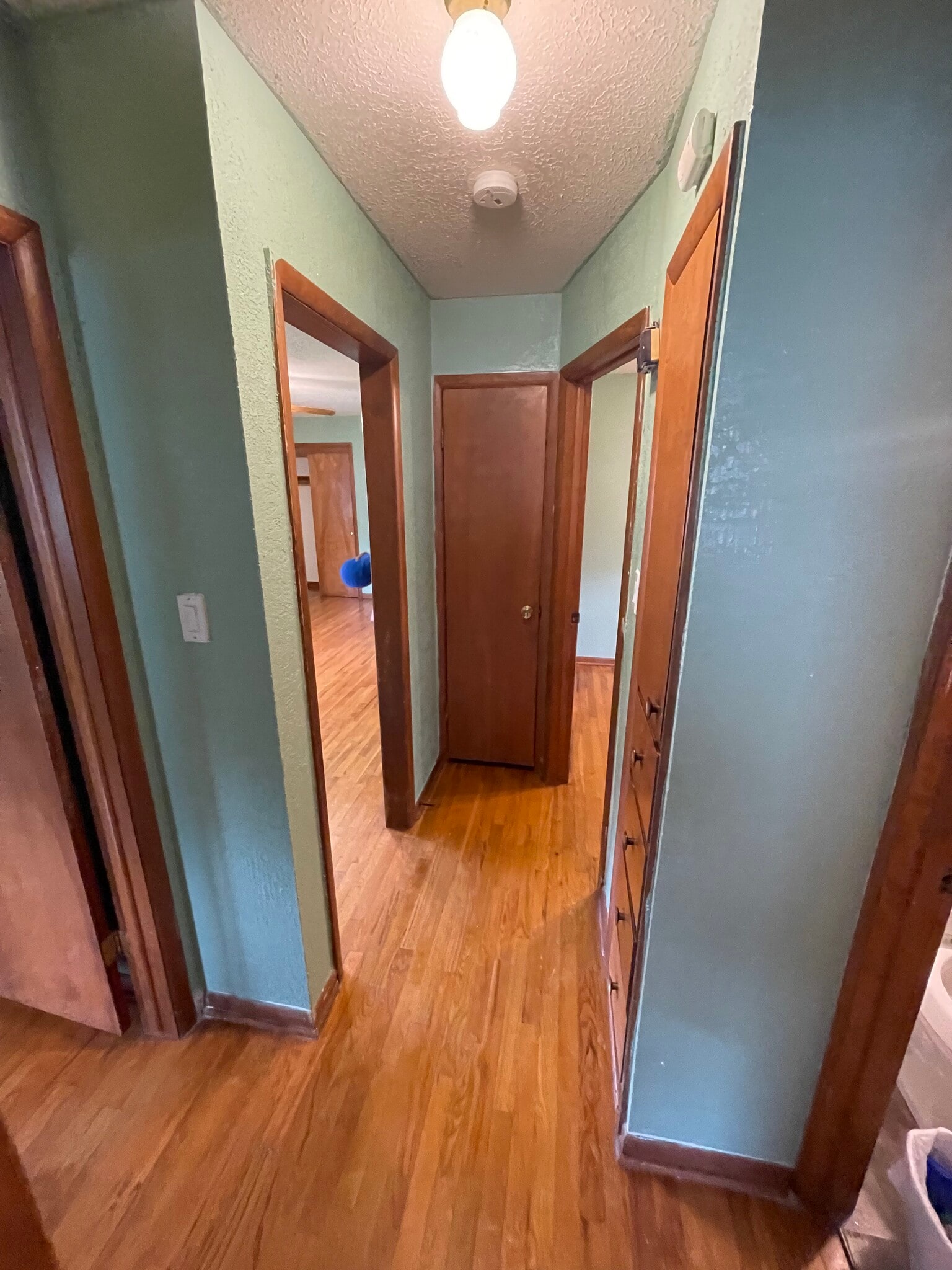 Hallway - 1013 Cedar St