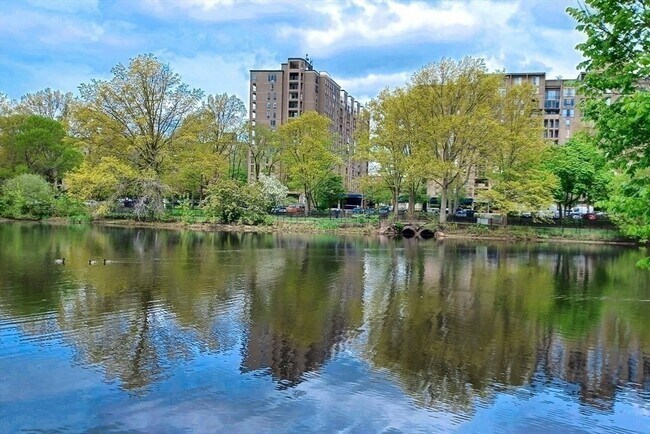 Building Photo - 33 Pond Ave