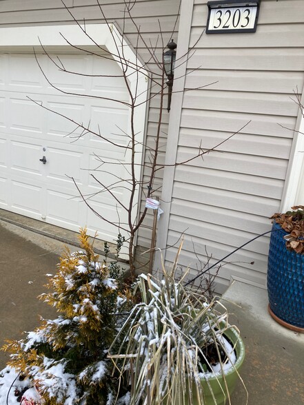 Garage - 3203 Trellis Ln