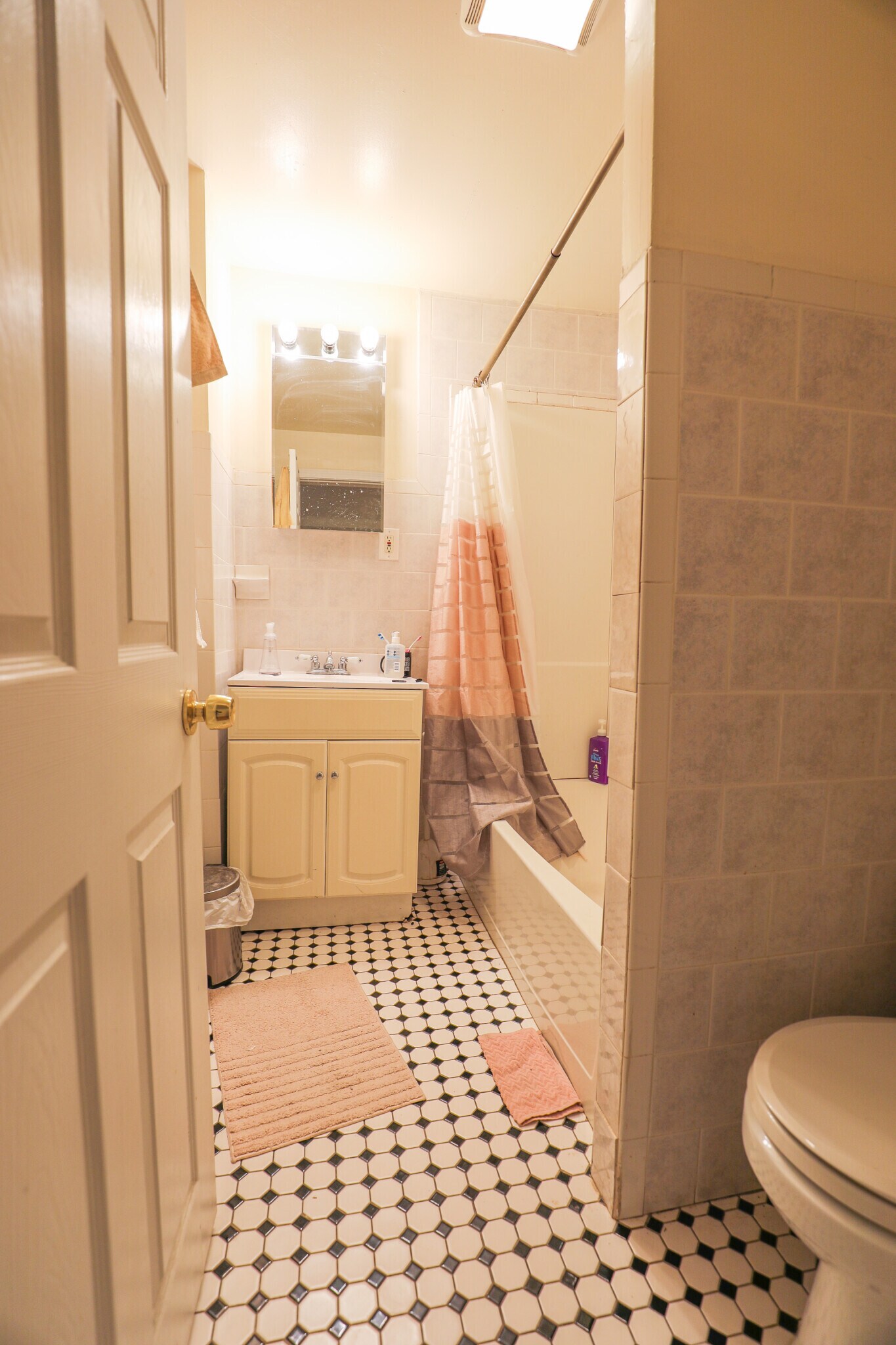 Building Photo - 66 Egmont St