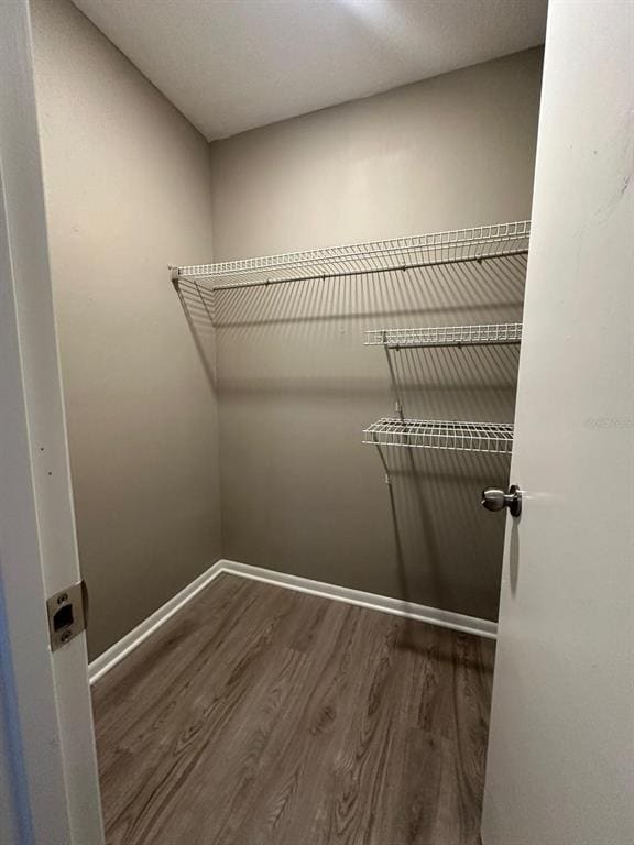 Building Photo - 147 Almond Rd