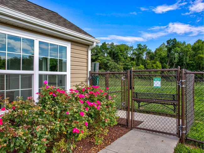 Dog Park - Misty Creek Village
