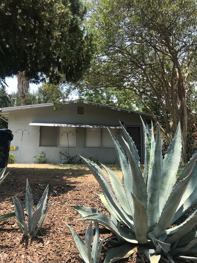 Building Photo - High Street (DD)