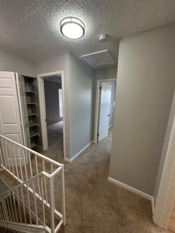 Building Photo - 5848 Queen Elizabeth Way
